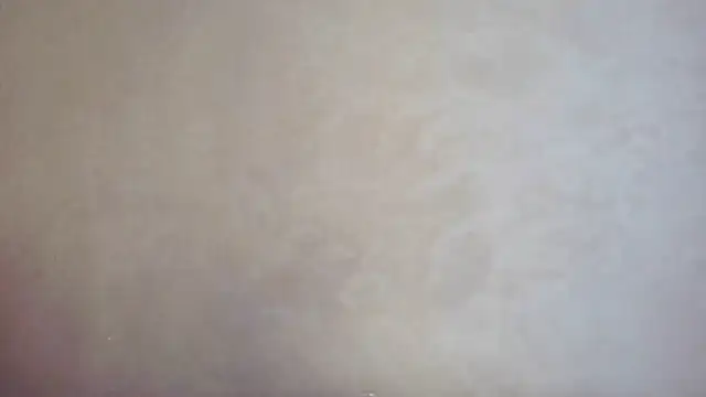 Snapshot of CaitlinaJayne23 chatting on September 19, 11:42 am CaitlinaJayne23 online show from September 19, 11:42 am