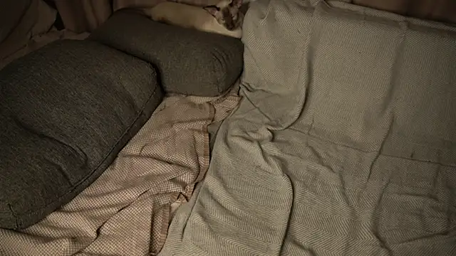 Snapshot of elisa_moon chatting on November 1, 3:27 pm elisa moon online show from November 1, 3:27 pm