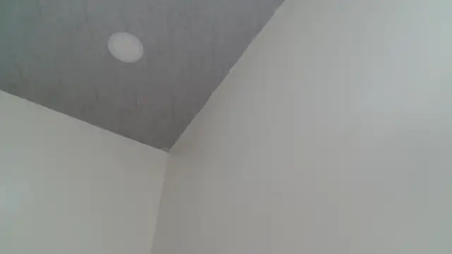 Full Fist online show from March 25, 2:20 pm