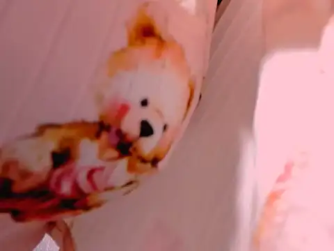 missycanoo online show from September 25, 3:16 am