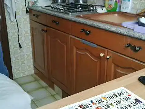 Snapshot of VeneRed chatting on October 12, 12:51 pm VeneRed online show from October 12, 12:51 pm