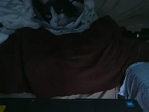 Snapshot of VeneRed chatting on October 4, 9:19 pm VeneRed online show from October 4, 9:19 pm