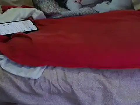 Snapshot of VeneRed chatting on October 16, 7:16 pm VeneRed online show from October 16, 7:16 pm