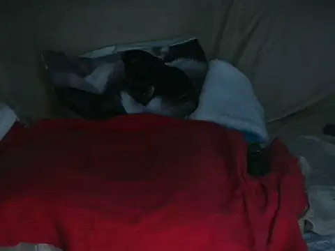 Snapshot of VeneRed chatting on October 14, 7:05 pm VeneRed online show from October 14, 7:05 pm