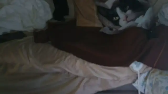 Snapshot of VeneRed chatting on October 9, 12:31 pm VeneRed online show from October 9, 12:31 pm