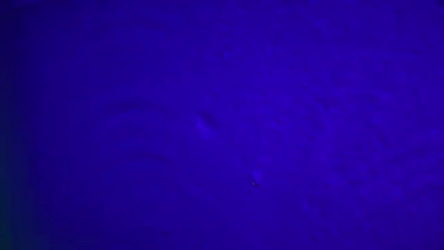 GymBoyVan online show from February 4, 4:04 am