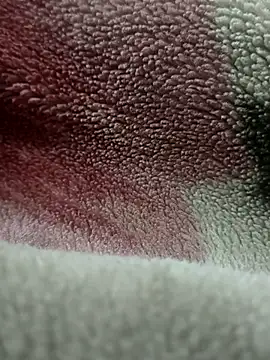 Anamika Kapoor online show from November 27, 6:27 am