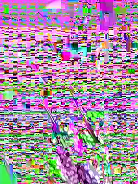 NATHALIA-28  online show from January 8, 7:18 pm