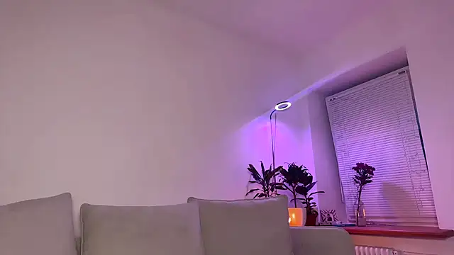 PaulaPratt online show from November 20, 5:52 am