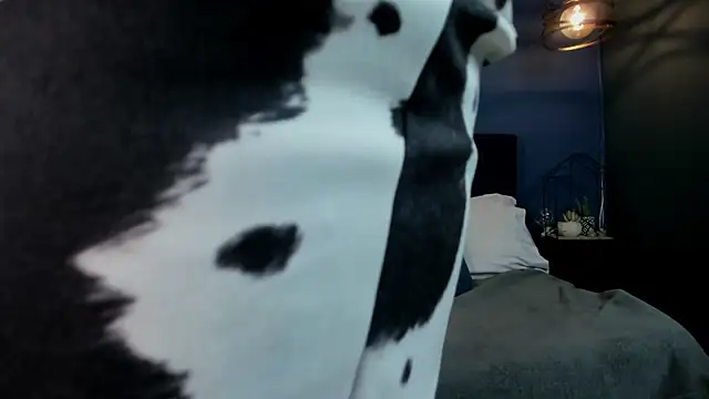 Snapshot of victoria_byte chatting on October 13, 8:44 pm victoria byte online show from October 13, 8:44 pm