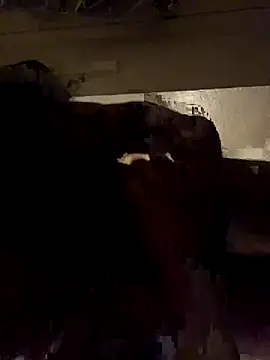 ethergodess9 online show from November 19, 6:13 am