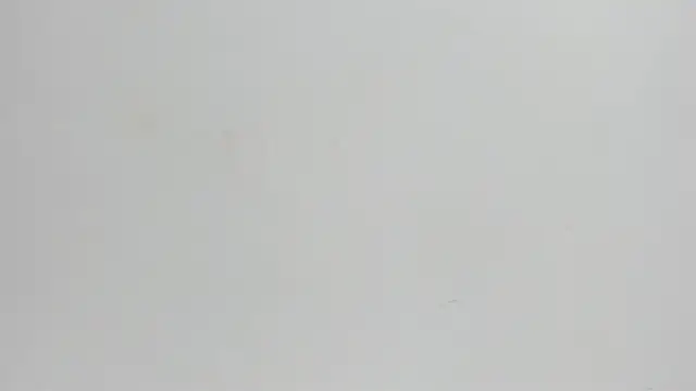 Brianrosex online show from September 16, 2:52 am