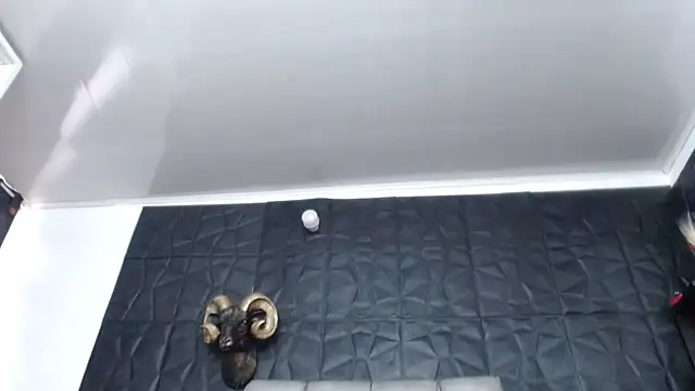 Hanna Fox 69 online show from March 14, 12:50 pm