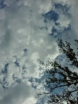 KierBearKisses online show from September 18, 4:16 pm