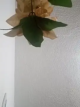 Naomy veracruz  online show from February 27, 11:32 am