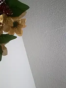 Naomy veracruz  online show from February 9, 10:06 am