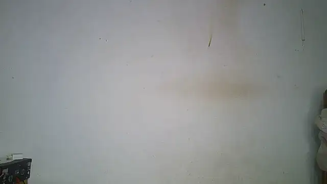 Queen-BEEE online show from July 9, 9:39 pm