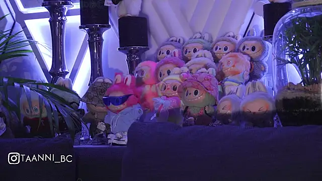 taanni bc online show from October 10, 11:31 pm