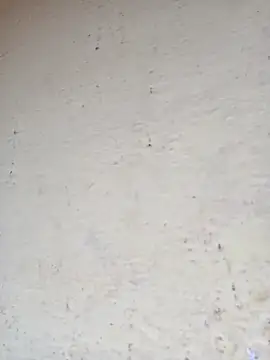 Snapshot of Pooja_cut chatting on October 13, 3:31 am Pooja cut online show from October 13, 3:31 am