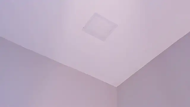 sara  jones gh online show from December 4, 5:14 pm