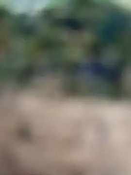 ChloeRaccoon online show from September 22, 2:43 am