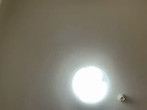 riri riri jp online show from March 31, 11:43 am