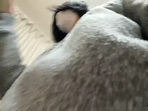 riri riri jp online show from February 28, 10:25 am