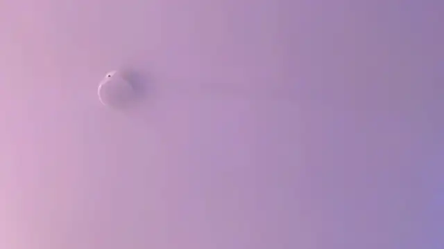 leahaltomm online show from April 18, 2:25 am