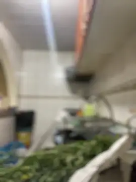 Carola-Ross online show from March 24, 5:40 pm