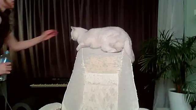 MollyBer online show from April 5, 8:08 pm