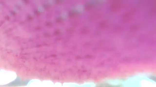 Sweetieanalxxx online show from April 5, 12:31 am