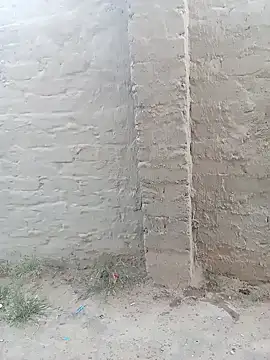 PinkMagic online show from February 6, 4:21 pm