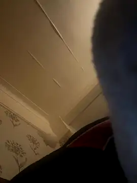 Gabriella316 online show from September 28, 4:41 am