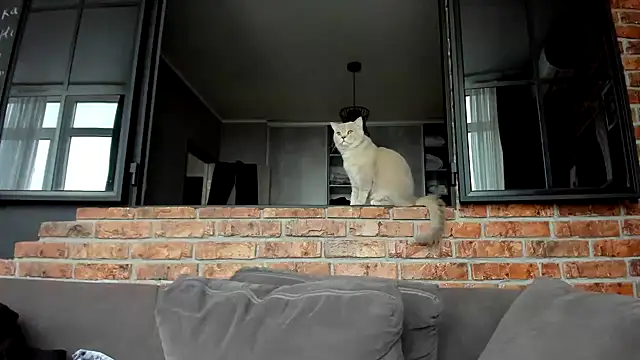 AnnNorriss online show from October 4, 5:13 am