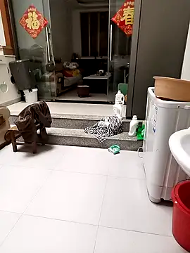 mimi520 online show from October 12, 12:57 am