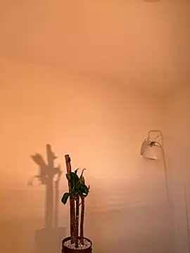 alissradiante1 online show from November 9, 10:38 pm