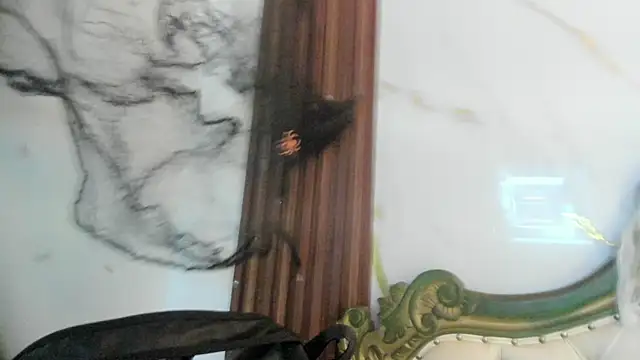 Snapshot of CoralieBronson chatting on October 28, 8:46 pm CoralieBronson online show from October 28, 8:46 pm