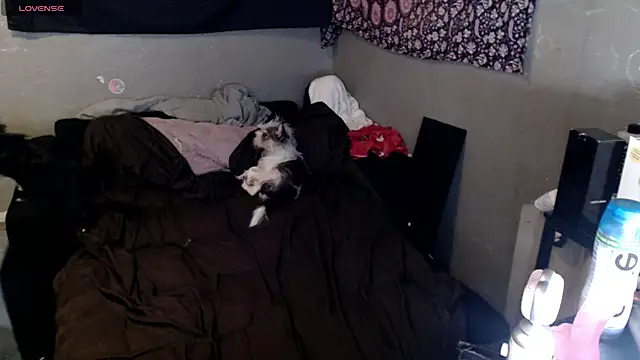 London Ray online show from February 16, 7:52 am