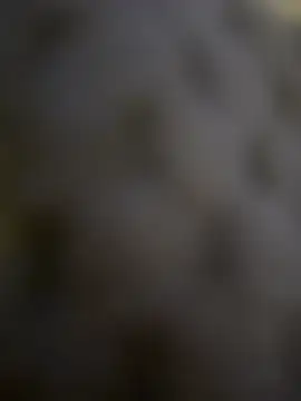 anonimgirl18old online show from April 3, 7:01 pm