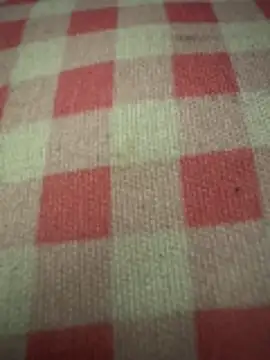 Snapshot of anonimgirl18old chatting on October 29, 5:04 pm anonimgirl18old online show from October 29, 5:04 pm