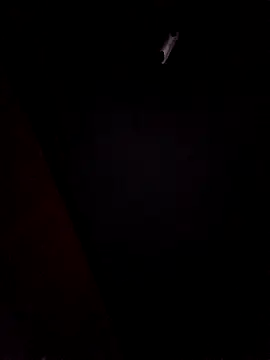 Hottiesophie online show from March 17, 5:44 am