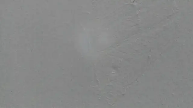 Sophia Ebony online show from February 8, 1:15 pm