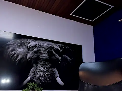 king falconer online show from January 15, 2:17 am