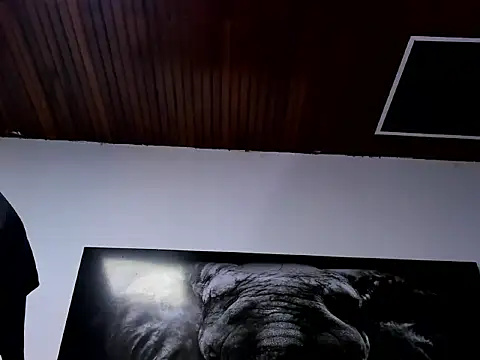 king falconer online show from January 18, 5:26 am