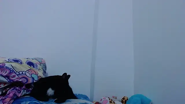 Snapshot of carolina_zabala_19 chatting on October 11, 5:37 pm carolina zabala 19 online show from October 11, 5:37 pm