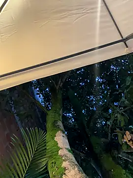 darle volant online show from November 25, 10:43 pm