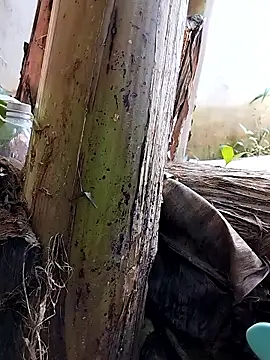 Snapshot of Tina_2pp chatting on September 26, 6:11 am Tina 2pp online show from September 26, 6:11 am