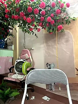 Snapshot of Bollozzy_89 chatting on October 23, 4:51 am Bollozzy 89 online show from October 23, 4:51 am