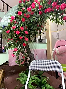 Snapshot of Bollozzy_89 chatting on October 20, 3:37 pm Bollozzy 89 online show from October 20, 3:37 pm