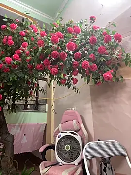 Snapshot of Bollozzy_89 chatting on October 4, 12:22 pm Bollozzy 89 online show from October 4, 12:22 pm